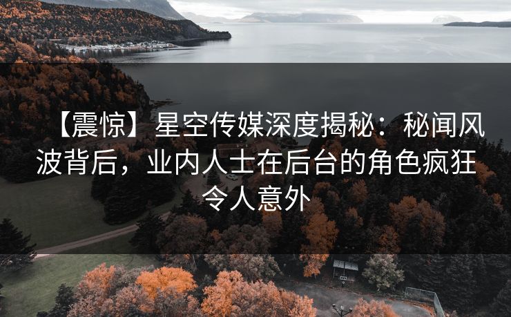 【震惊】星空传媒深度揭秘：秘闻风波背后，业内人士在后台的角色疯狂令人意外