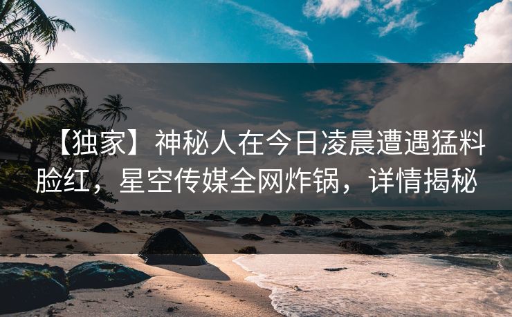 【独家】神秘人在今日凌晨遭遇猛料脸红,星空传媒全网炸锅,详情揭秘 【独家】神秘人在今日凌晨遭遇猛料脸红,星空传媒全网炸锅,详情揭秘